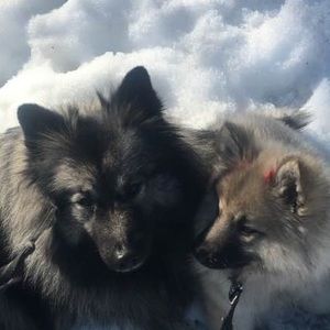 Meet your Posher, Phyllis